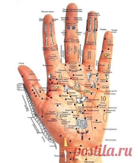 Определяем болезни по рукам