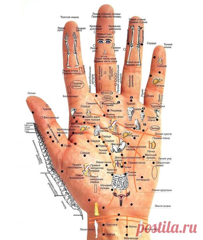 Определяем болезни по рукам