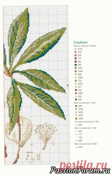 Вышивка цветов 2 - запись пользователя verav (Вера) в сообществе Вышивка в категории Вышивка крестом
