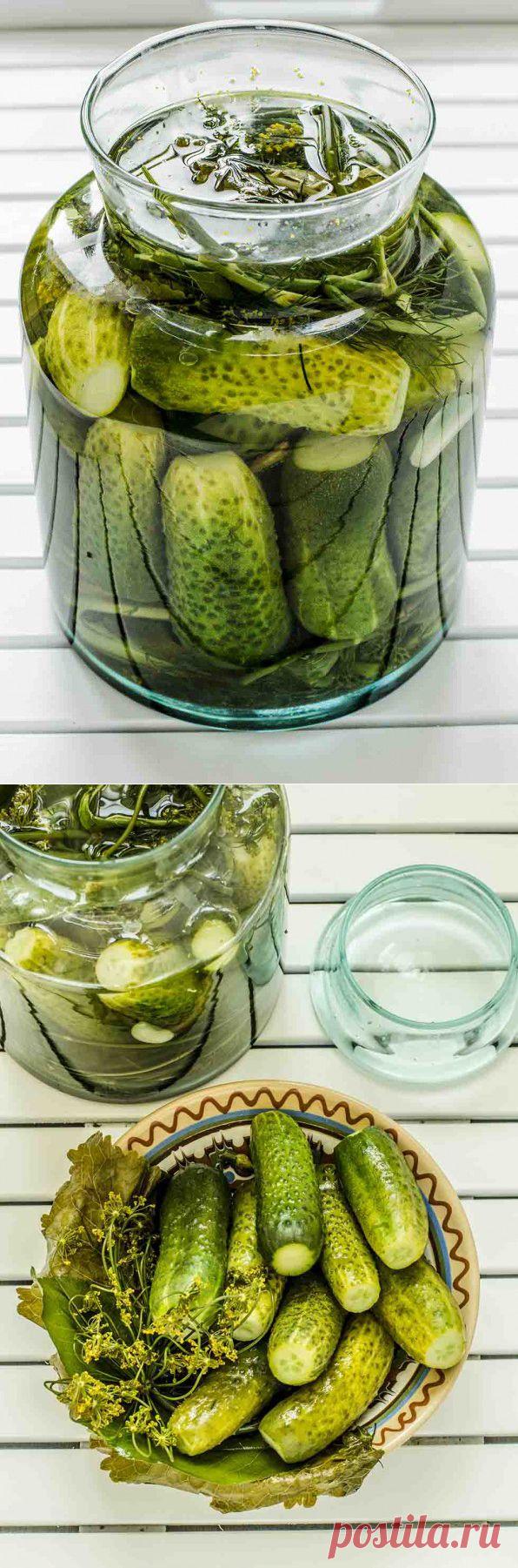 Рецепт очень быстрых малосольных огурцов.
