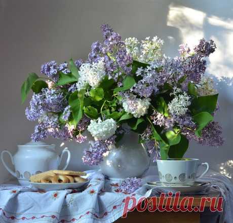 Доброе утро друзья!!! С началом новой недели!! Лёгкого вам понедельника!😊