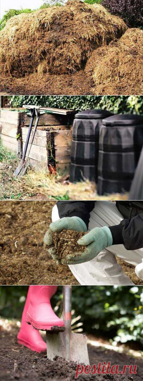 Органическое удобрение навоз. Виды органических удобрений. | Мое подворье
