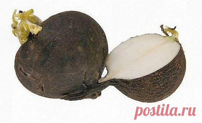 Продукты, которые повышают иммунитет / Все для женщины