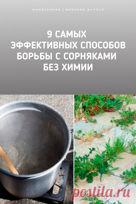 9 самых эффективных способов борьбы с сорняками без химии