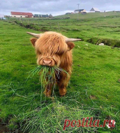 Eli 👍🌷🌺🌻🌼🍒 (@ebendavid5) / Twitter