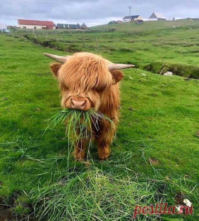 Eli 👍🌷🌺🌻🌼🍒 (@ebendavid5) / Twitter