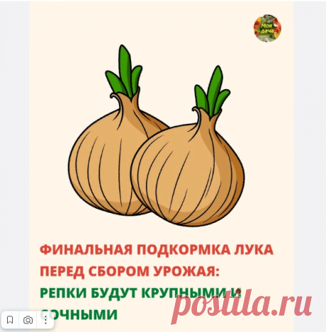 Новости