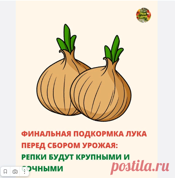 Новости