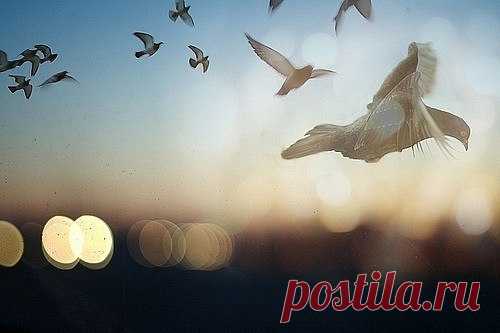 Музыка для медитации, душевного равновесия и мудрых мыслей.