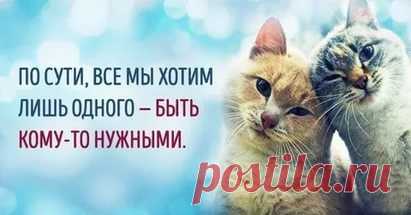 картинки позитива для поднятия настроения: 17 тыс изображений найдено в Яндекс.Картинках