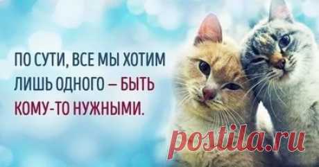 картинки позитива для поднятия настроения: 17 тыс изображений найдено в Яндекс.Картинках