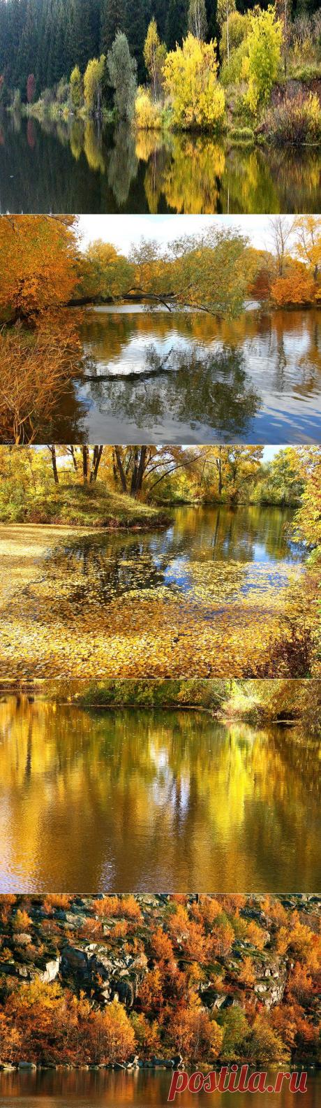 Зеркальное отражение осени в воде! Буйство осенних красок над зеркалом озер! - Блог Три и ночка