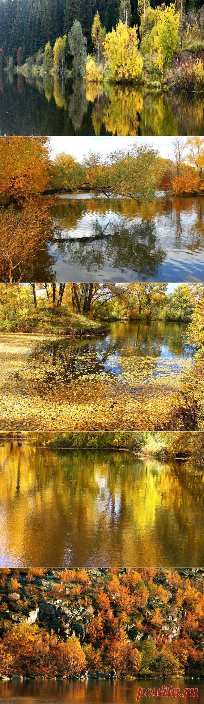 Зеркальное отражение осени в воде! Буйство осенних красок над зеркалом озер! - Блог Три и ночка