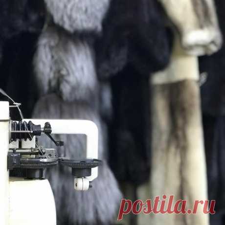 Часто задаваемый вопрос: реставрируем ли мы шубы если они НЕ из норки ?
Отвечаю : Мы реставрируем Шубки!!!
Не важно какого зверька мех, схема одна и та же ,есть мездра и волосяной покров . На всех шубках он в течении носки приходит в негодность.
Принимаем шубы :
- на перекрой
- изменение модели
- реставрацию
Запись в лс или viber 8-(999)-137-93-68 .
#реставрацияшубнижнийновгород #шубынижнийновгород #реставрацияшуб #ательенижнийновгород #пошиводеждынижнийновгород #мех #скорняк #перекройшуб