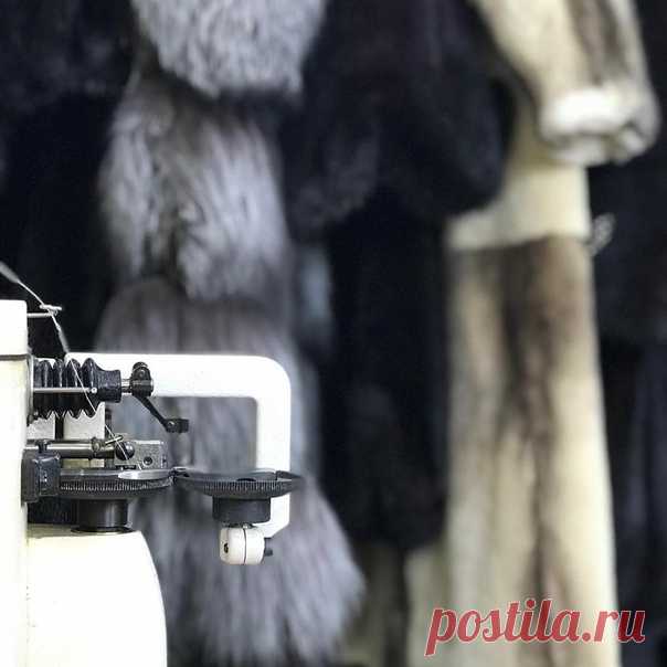 Часто задаваемый вопрос: реставрируем ли мы шубы если они НЕ из норки ?
Отвечаю : Мы реставрируем Шубки!!!
Не важно какого зверька мех, схема одна и та же ,есть мездра и волосяной покров . На всех шубках он в течении носки приходит в негодность.
Принимаем шубы :
- на перекрой
- изменение модели
- реставрацию
Запись в лс или viber 8-(999)-137-93-68 .
#реставрацияшубнижнийновгород #шубынижнийновгород #реставрацияшуб #ательенижнийновгород #пошиводеждынижнийновгород #мех #скорняк #перекройшуб