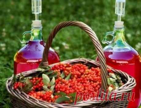 ДОМАШНЕЕ ВИНО: 10 рецептов на любой вкус 1. Вино из жимолости Домашнее вино из жимолости порадует приятным и нежным вкусом.... Флай леди - Мой Мир@Mail.ru ДОМАШНЕЕ ВИНО: 10 рецептов на любой вкус 1. Вино из жимолости Домашнее вино из жимолости порадует приятным и нежным вкусом....  Флай леди в социальной сети Мой Мир