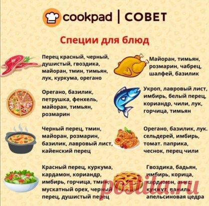 А какие специи вы любите больше всего?

#Cookpad #сайтCookpad #Cookpad_ru
#вкусно #готовитьпросто #готовитьлегко #люблюготовить #едаялюблютебя #ужин  #ужиндлянего #салат #мойобед...