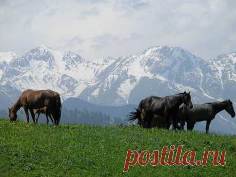 Panoramio - Photo explorer
