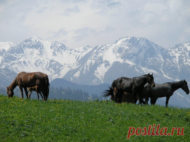Panoramio - Photo explorer