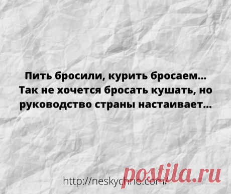 20+ житейских анекдотов для хорошего настроения – Нескучно