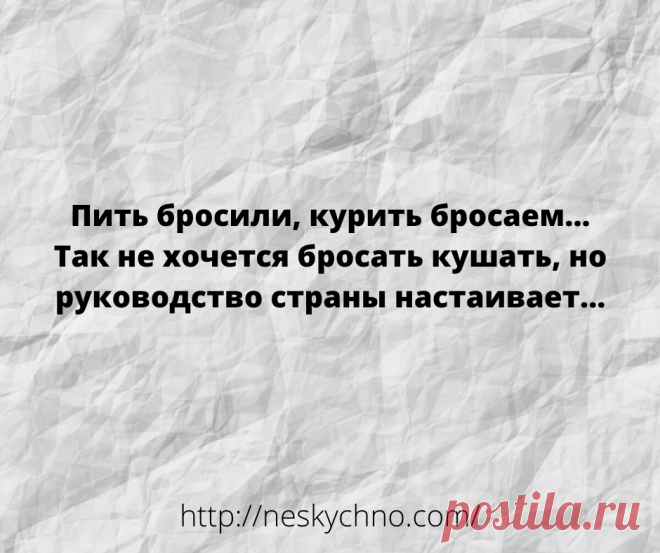 20+ житейских анекдотов для хорошего настроения – Нескучно