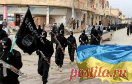До кучи: ИГИЛ добавило Украину в список врагов | МК - Лондон
