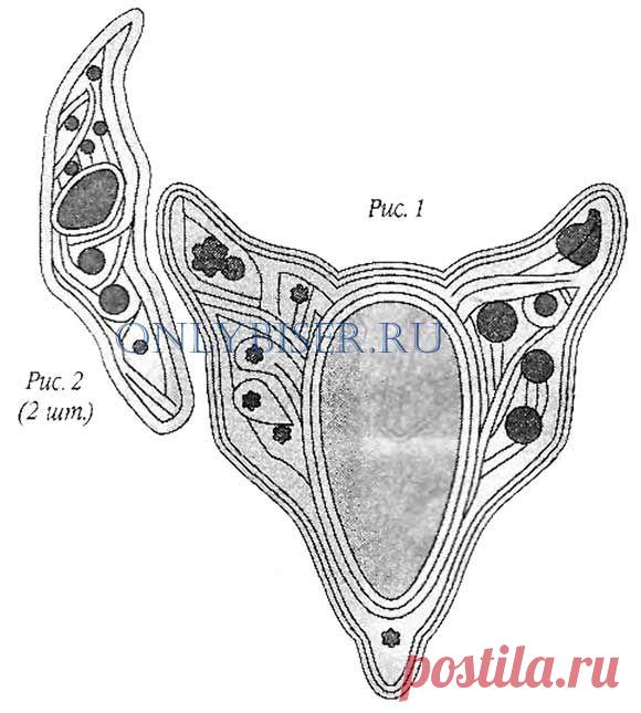КОЛЬЕ "БУДУЩЕЕ"