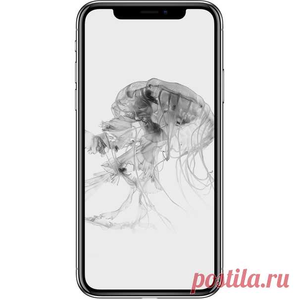 Красивые обои для вашего iPhone от Apple News 👍🏻