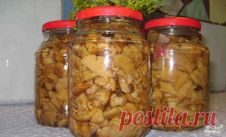 Маринованные лисички с луком - пошаговый рецепт с фото на Повар.ру