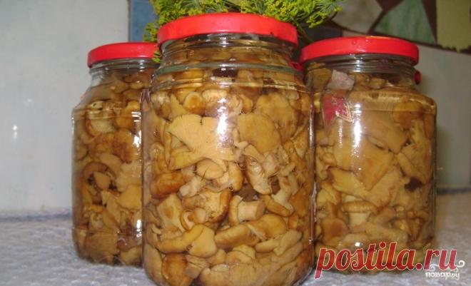 Маринованные лисички с луком - пошаговый рецепт с фото на Повар.ру
