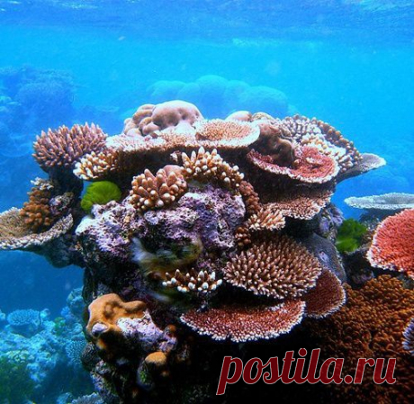 15 шокирующих фактов об океане, которых вы не знали