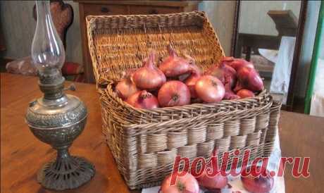 Лук репчатый: польза и вред для здоровья - это надо знать!

Здесь собрана основная информация о самом популярном и незаменимом овоще. Как правильно выбрать? Как хранить? 
Эта важнейшая овощная культура известна более 5000 лет. На Руси лучок появился примерно в XII веке. В настоящее время выведено множество сортов лука. Цвет луковиц бывает золотистым, желтым, фиолетовым, белым, розовым. Давно в народе говорят: «Лук от семи недуг». И это правда! Лук репчатый и зеленый широко применяют в пищу.