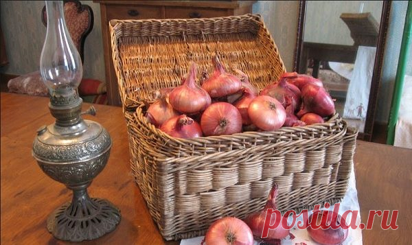 Лук репчатый: польза и вред для здоровья - это надо знать!

Здесь собрана основная информация о самом популярном и незаменимом овоще. Как правильно выбрать? Как хранить? 
Эта важнейшая овощная культура известна более 5000 лет. На Руси лучок появился примерно в XII веке. В настоящее время выведено множество сортов лука. Цвет луковиц бывает золотистым, желтым, фиолетовым, белым, розовым. Давно в народе говорят: «Лук от семи недуг». И это правда! Лук репчатый и зеленый широко применяют в пищу.