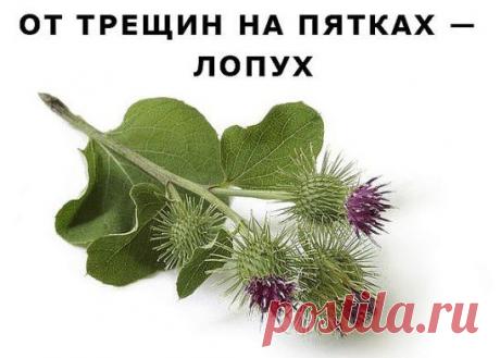 От трещин на пятках.