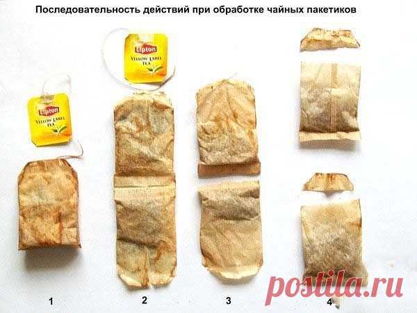 Необычный способ выращивания рассады.