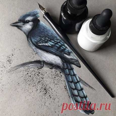 дизайн