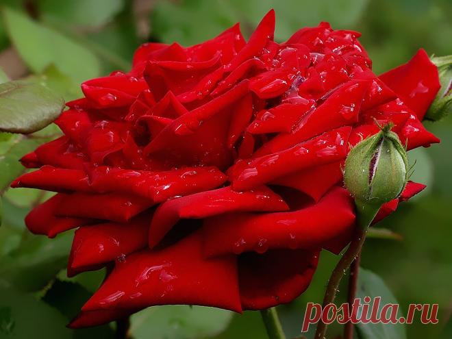 0_96590_2527b8bd_orig (2220×1665)