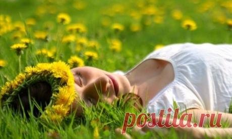 Набрать бы мне пушистых одуванчиков 
И улететь от мелочных забот 
В страну, где маленькие девочки и мальчики 
Не зная зла, живут за годом год. 

Показать полностью…