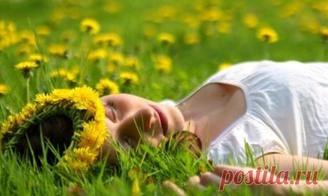 Набрать бы мне пушистых одуванчиков 
И улететь от мелочных забот 
В страну, где маленькие девочки и мальчики 
Не зная зла, живут за годом год. 

Показать полностью…