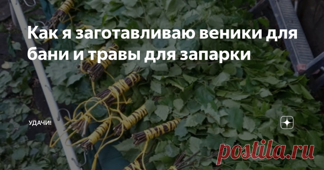 Как я заготавливаю веники для бани и травы для запарки Русская баня, с веником, душистыми запарками и ароматным чаем - вне конкуренции.