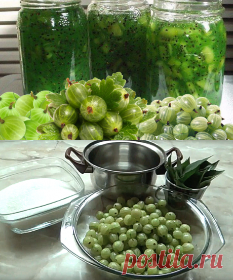 Бабушкин рецепт: царское варенье из крыжовника | ChocoYamma | Яндекс Дзен
А запах, в котором тонула наша дача, когда на плите в сахарном сиропе кипели вишни, забыть вообще невозможно. Но лично я из всех видов бабушкиного варенья особенно любил два - кизиловое и крыжовенное. Поэтому сегодня я расскажу рецепт варенье из крыжовника, которое моя бабуля называла “царским” или “изумрудным”.
