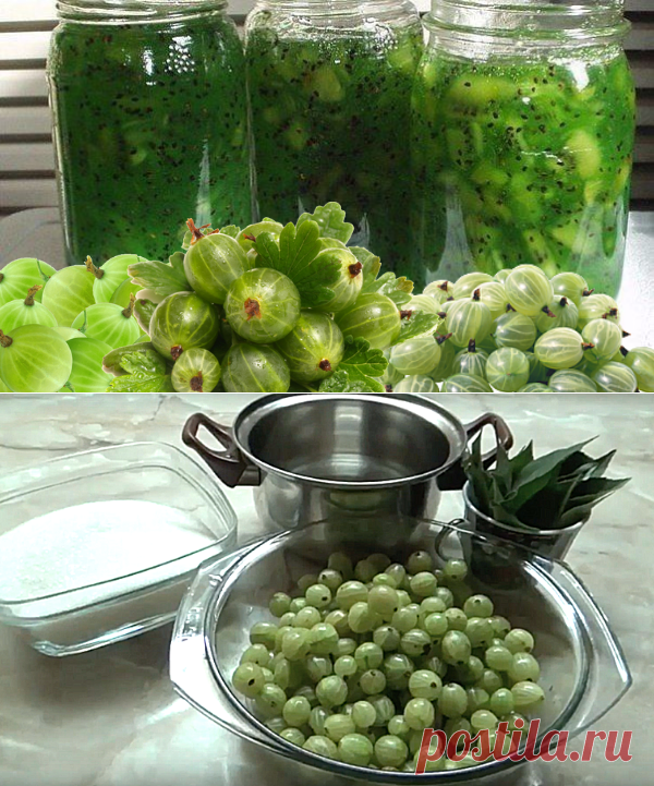 Бабушкин рецепт: царское варенье из крыжовника | ChocoYamma | Яндекс Дзен
А запах, в котором тонула наша дача, когда на плите в сахарном сиропе кипели вишни, забыть вообще невозможно. Но лично я из всех видов бабушкиного варенья особенно любил два - кизиловое и крыжовенное. Поэтому сегодня я расскажу рецепт варенье из крыжовника, которое моя бабуля называла “царским” или “изумрудным”.