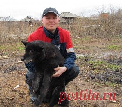 Слепой пес, забытый на привязи, чуть не утонул в паводке.