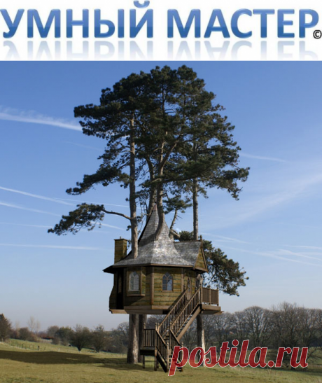 Может, в детстве у вас был свой «штабик», уютное убежище на дереве, где можно было представить себя пиратом, свободным бродягой, да и просто счастливым владельцем собственной хижины. Мечты взрослых не так уж отличаются от детских.