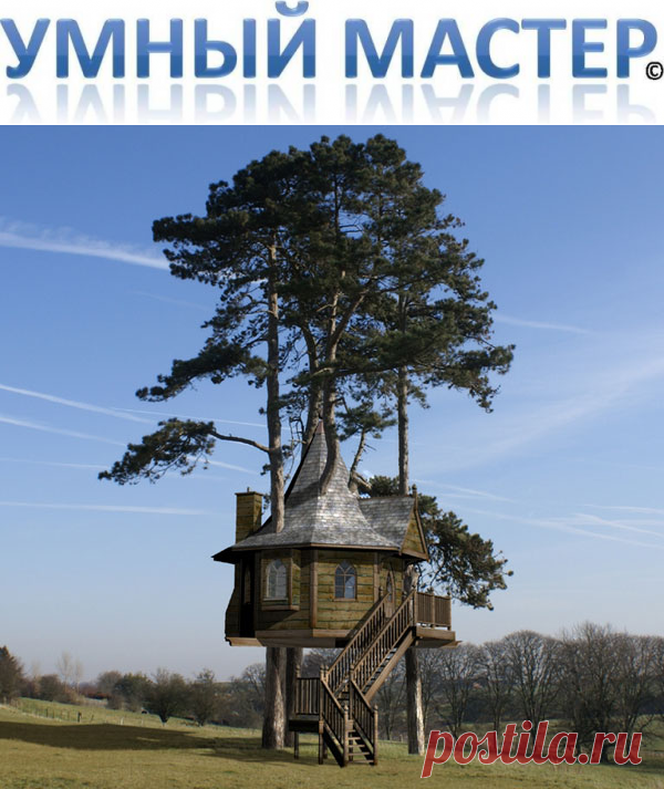 Может, в детстве у вас был свой «штабик», уютное убежище на дереве, где можно было представить себя пиратом, свободным бродягой, да и просто счастливым владельцем собственной хижины. Мечты взрослых не так уж отличаются от детских.