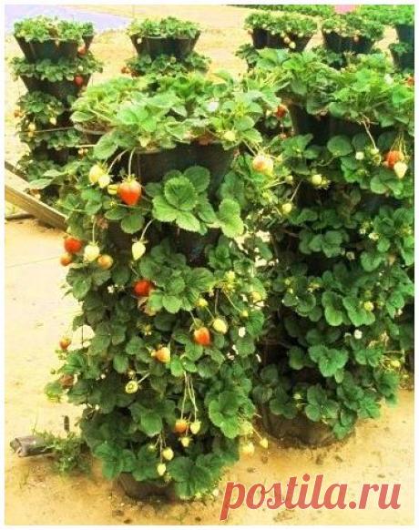 Как соорудить вертикальную грядку | Самоделкино