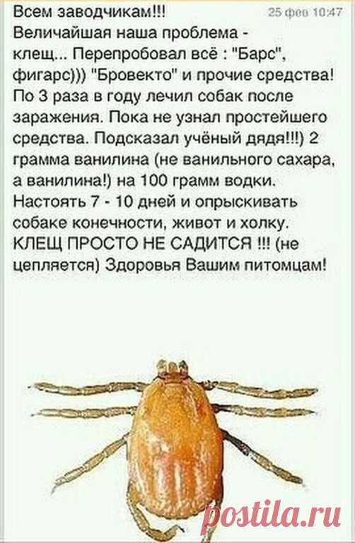 Это интересно...