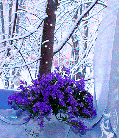 5536d759-5d14-69a9-c210-fe5763872d04.gif (400×461)