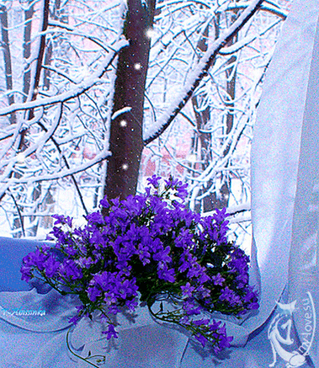 5536d759-5d14-69a9-c210-fe5763872d04.gif (400×461)