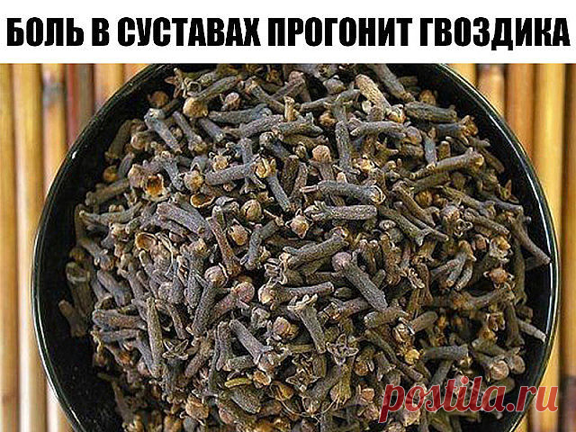 БОЛЬ В СУСТАВАХ ПРОГОНИТ ГВОЗДИКА 

Боль в спине, в локтях и коленках, при артрозах, ревматизме, радикулите, миазите, невралгии прекрасно снимает настоянная на одеколоне пряность гвоздика. 

Возьмите пять пакетиков (по 20г) ароматных бутончиков и залейте двумя флаконами тройного одеколона. Закрытую стеклянную банку держите в темном месте ( не в холодильнике) неделю, постоянно встряхивая.

 Готовая целебная растирка должна иметь насыщенный коричневый цвет. Натерев ею больны...